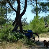 Bike rental at the Atlantic Hotel for your lovely rides - Oléron Island - Charente Maritime - Cotinière beaches