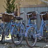 bicycles rental - Relaxation and leisure - Ile d'Oleron - Atlantic 3-star hotel on the island of Oleron in Charente Maritime